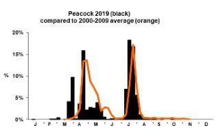 Peacock-phenology.jpg