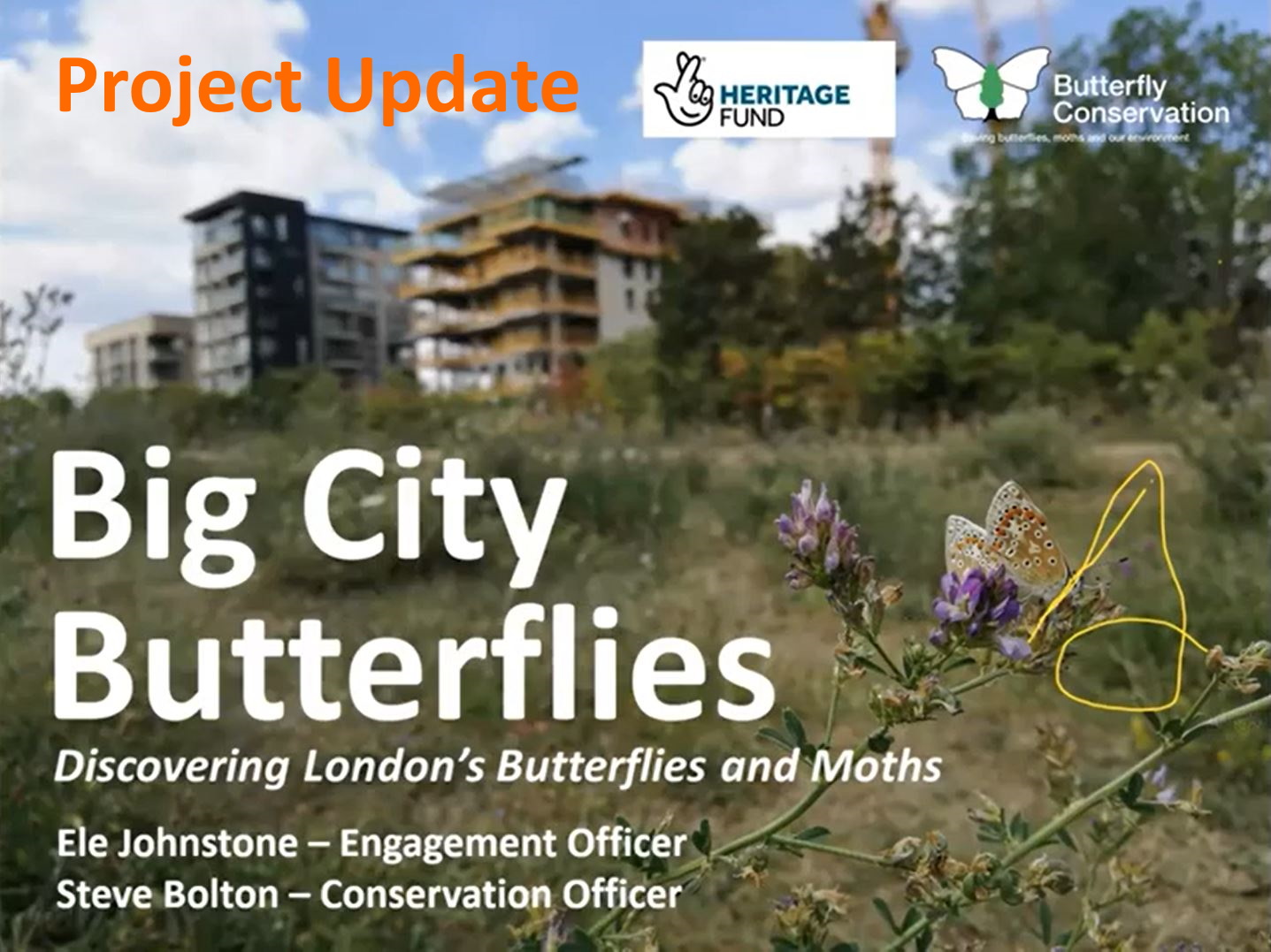 Big City Butterflies Project Update - Ele Johnstone & Steve Bolton