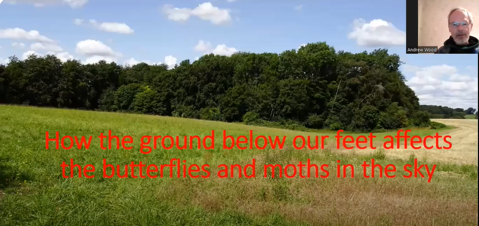 Ground below our feet affects butterflies and moths - Andrew Wood