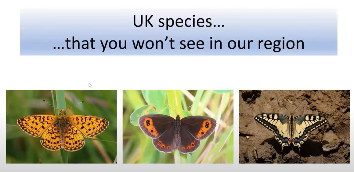 UK Butterflies not seen in Herts or Middx - Roger Gibbons