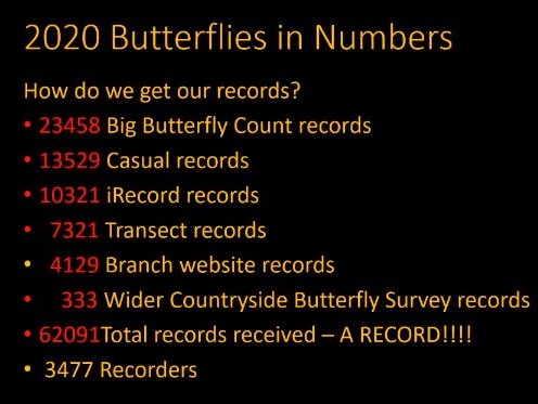 Butterflies & Moths 2020 - Andrew Wood