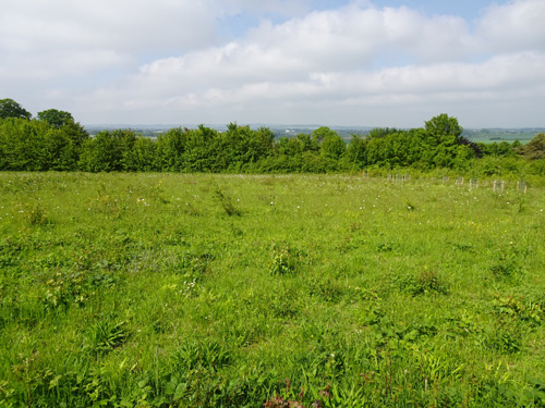 fields near Hillbrow - Andrew Wood