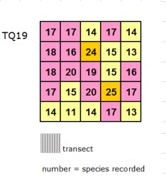 Special richness grid for TQ19