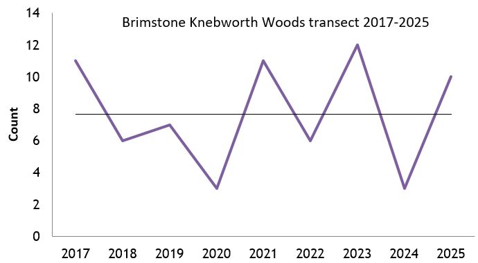 Brimstone Knebworth Woods transect abundance chart Brimstone Knebworth Woods transect abundance chart
