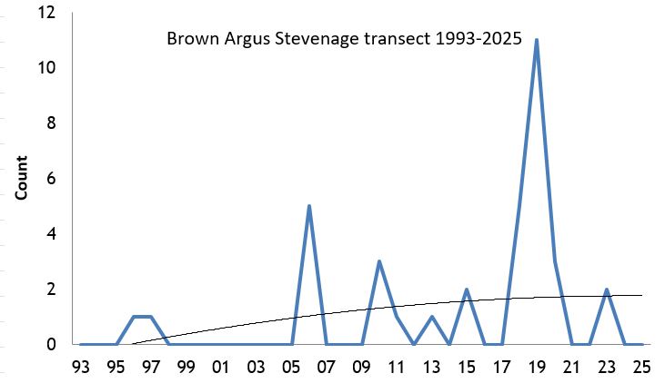 Brown Argus Stevenage transect abundance chart
