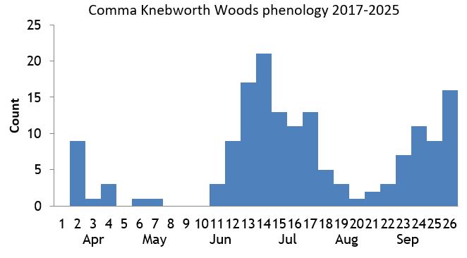 Comma Knebworth Woods phenology chart