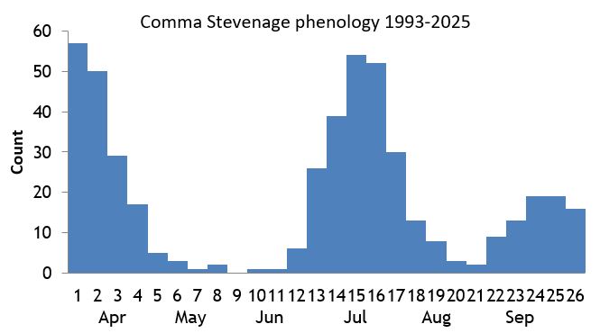 Comma Stevenage phenology chart