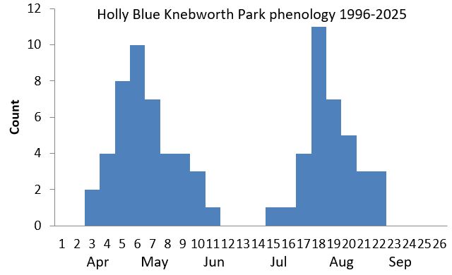 Holly Blue Knebworth Park phenology chart Holly Blue Knebworth Park phenology chart