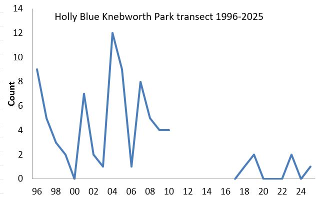 Holly Blue Knebworth Park transect abundance chart Holly Blue Knebworth Park transect abundance chart