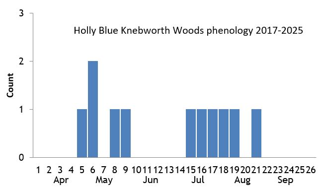 Holly Blue Knebworth Woods phenology chart Holly Blue Knebworth Woods phenology chart