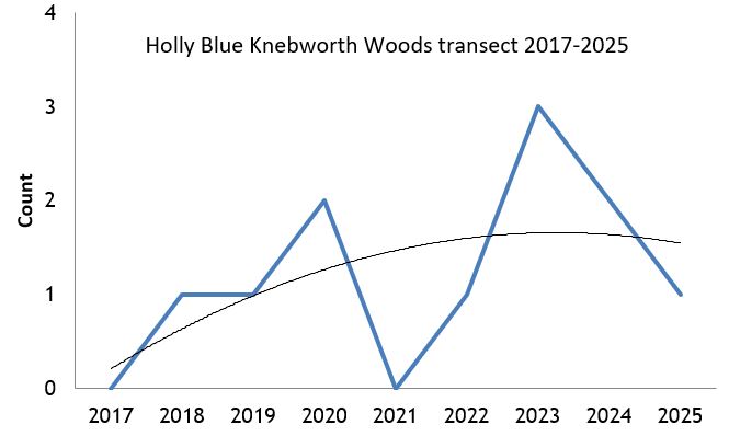 Holly Blue Knebworth Woods transect abundance chart Holly Blue Knebworth Woods transect abundance chart