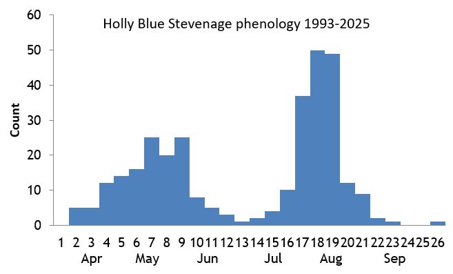 Holly Blue Stevenage phenology chart Holly Blue Stevenage phenology chart