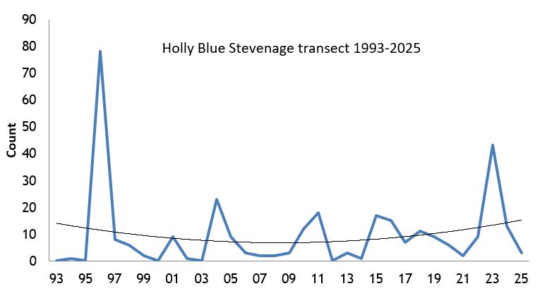 Holly Blue Stevenage transect abundance chart Holly Blue Stevenage transect abundance chart