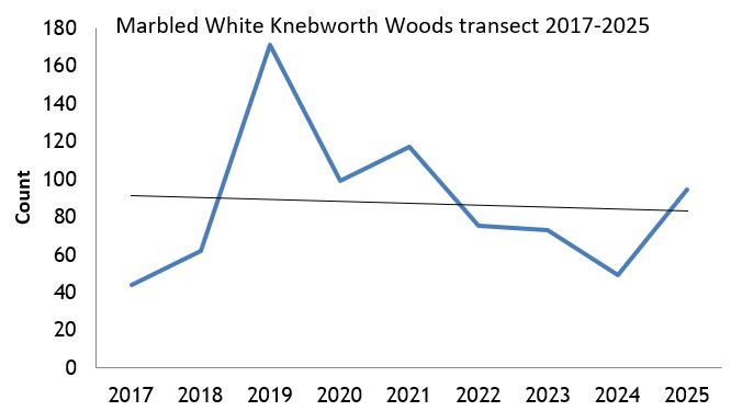 Marbled White Knebworth Woods transect abundance chart Marbled White Knebworth Woods transect abundance chart