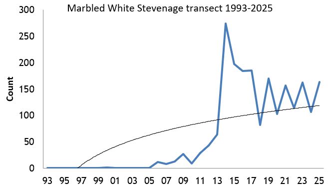 Marbled White Stevenage transect abundance chart Marbled White Stevenage transect abundance chart