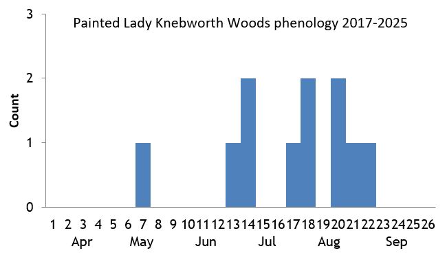 Painted Lady Knebworth Woods phenology chart Painted Lady Knebworth Woods phenology chart