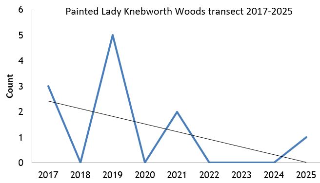 Painted Lady Knebworth Woods transect abundance chart Painted Lady Knebworth Woods transect abundance chart