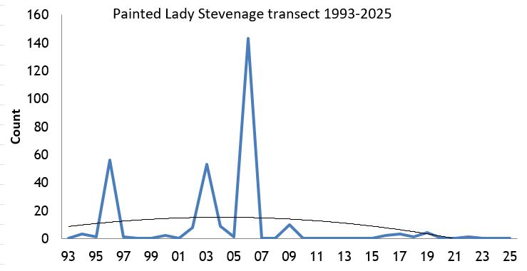 Painted Lady Stevenage transect abundance chart Painted Lady Stevenage transect abundance chart