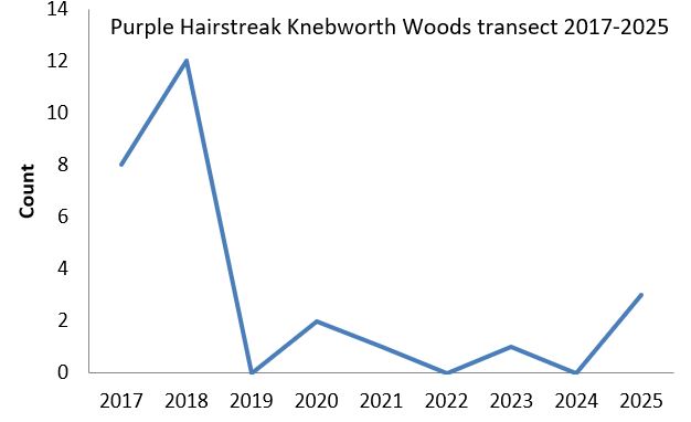 Purple Hairstreak Knebworth Woods transect abundance chart Purple Hairstreak Knebworth Woods transect abundance chart