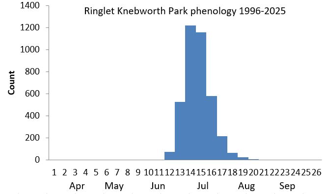 Ringlet Knebworth Park phenology chart