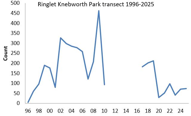 Ringlet Knebworth Park transect abundance chart
