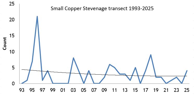  Small Copper Stevenage transect abundance chart