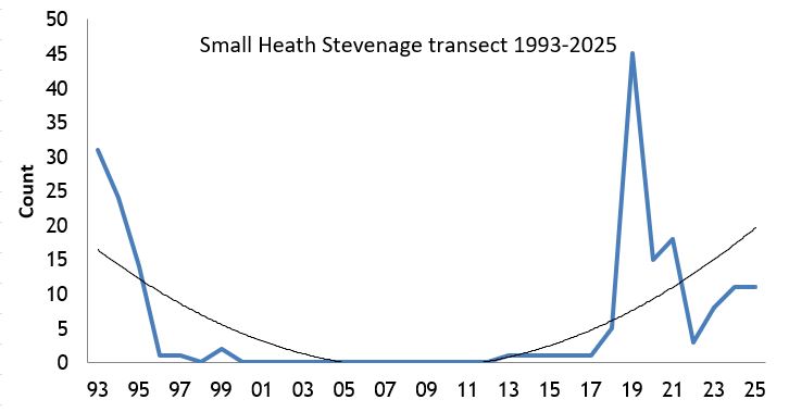  Small Heath Stevenage transect abundance chart