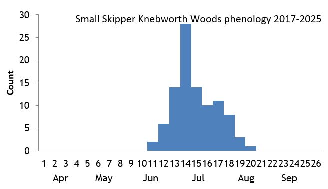 Small Skipper Knebworth Woods phenology chart