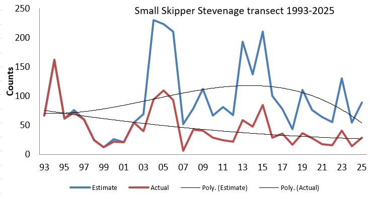  Small Skipper Stevenage transect abundance chart