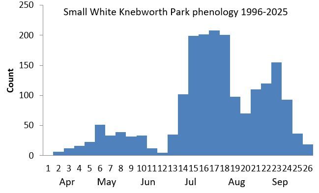Small White Knebworth Park phenology chart Small White Knebworth Park phenology chart