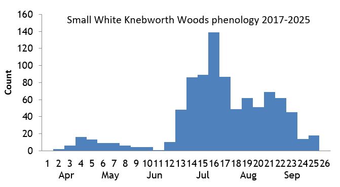 Small White Knebworth Woods phenology chart Small White Knebworth Woods phenology chart