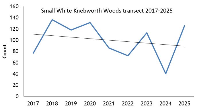 Small White Knebworth Woods transect abundance chart Small White Knebworth Woods transect abundance chart