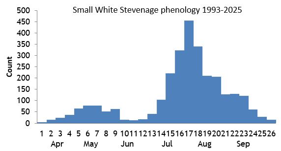 Small White Stevenage phenology chart Small White Stevenage phenology chart