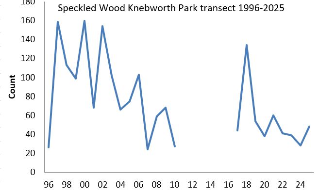 Speckled Wood Knebworth Park transect abundance chart Speckled Wood Knebworth Park transect abundance chart