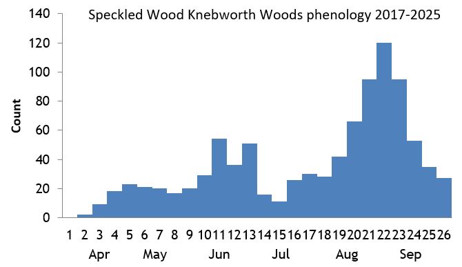 Speckled Wood Knebworth Woods phenology chart Speckled Wood Knebworth Woods phenology chart
