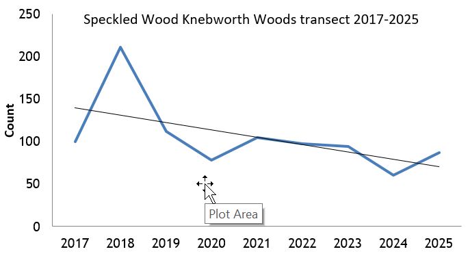 Speckled Wood Knebworth Woods transect abundance chart Speckled Wood Knebworth Woods transect abundance chart
