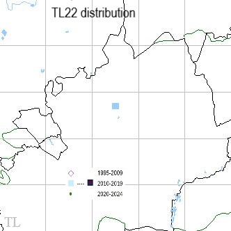 Small Blue TL22 distribution