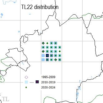 Small Copper TL22 distribution