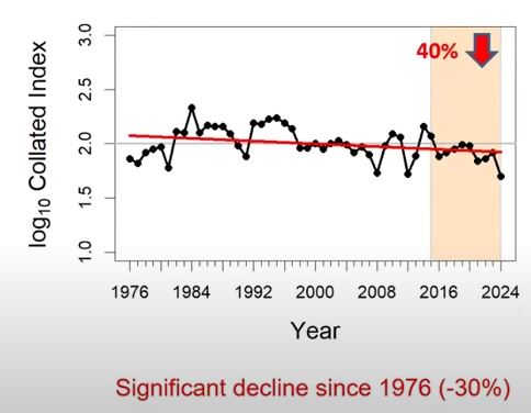 Large Skipper abundance (UKBMS)