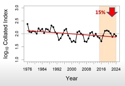 Small Heath abundance (UKBMS)
