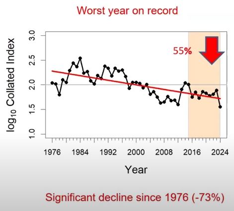 Small Skipper abundance (UKBMS)