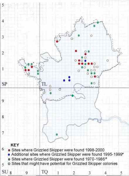 Grizzled Skipper Distribution map in Hertfordshire and Middlesex