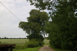 Actons Farm (TL4414) June 2006