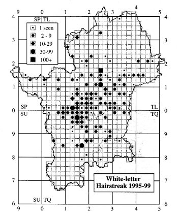 1995-1999 White-letter Hairstreak Distribution in Hertfordshire & Middlesex